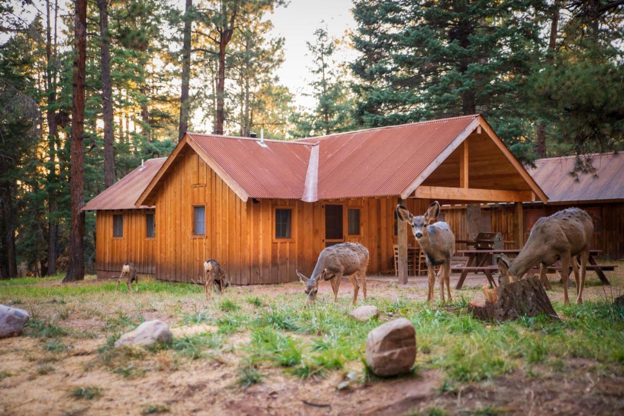 Corkins Lodge Chama ภายนอก รูปภาพ